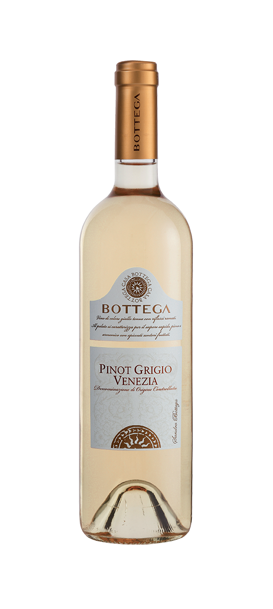 BOTTEGA PINOT GRIGIO VENEZIA DOC
