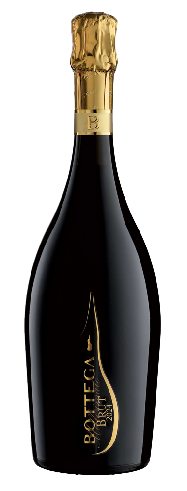 BOTTEGA MILLESIMATO SPUMANTE BRUT